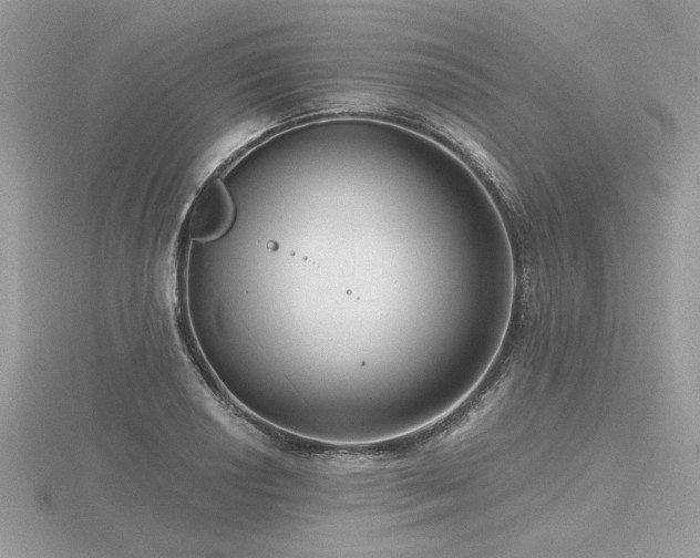 X0000116571034200912101506