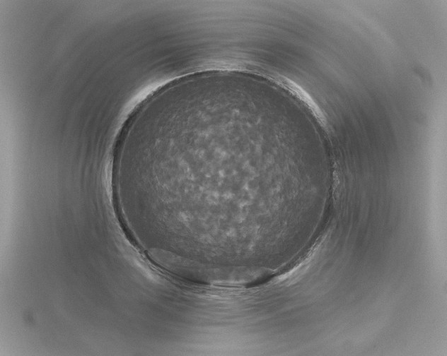 X0000116571035200912101506