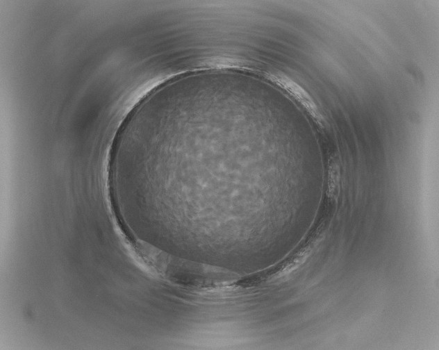 X0000116571039200912101506