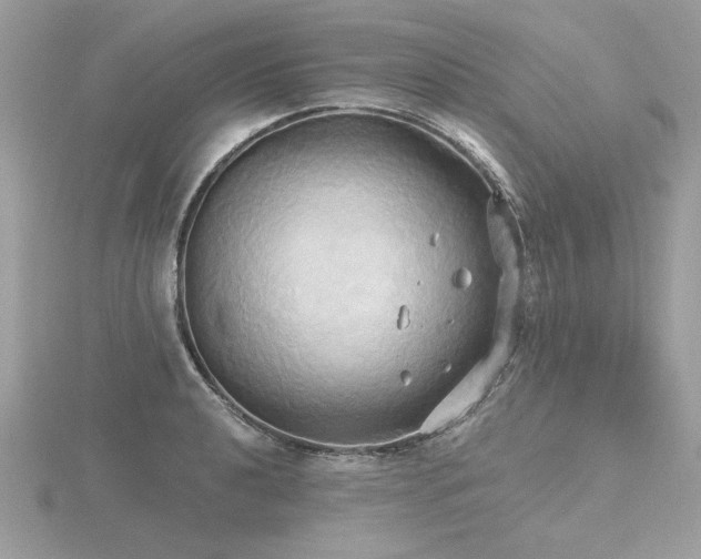 X0000116571040200912101506