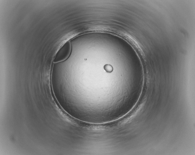 X0000116571041200912101506