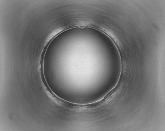 X0000116571042200912101506