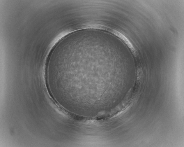 X0000116571043200912101506