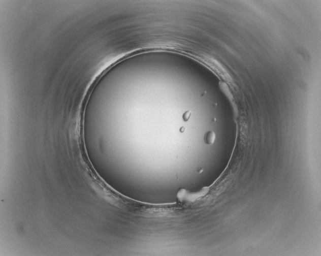 X0000116571044200912101506