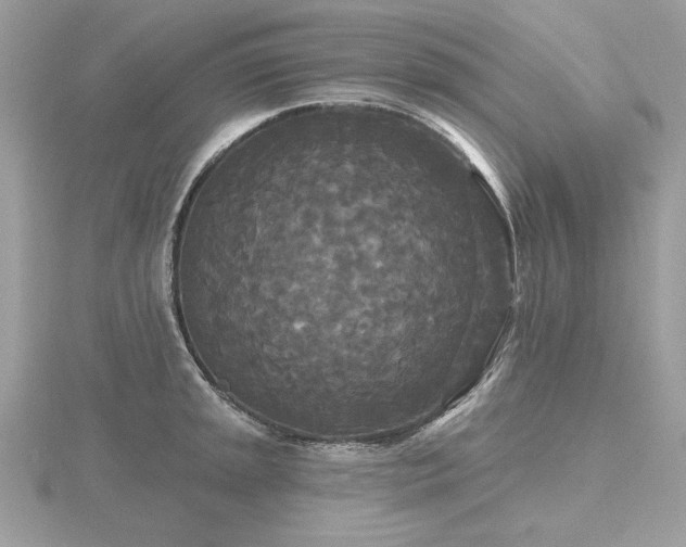 X0000116571045200912101506