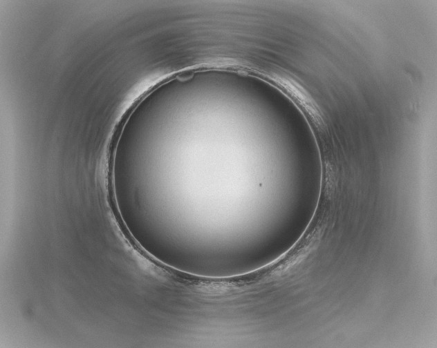 X0000116571046200912101506