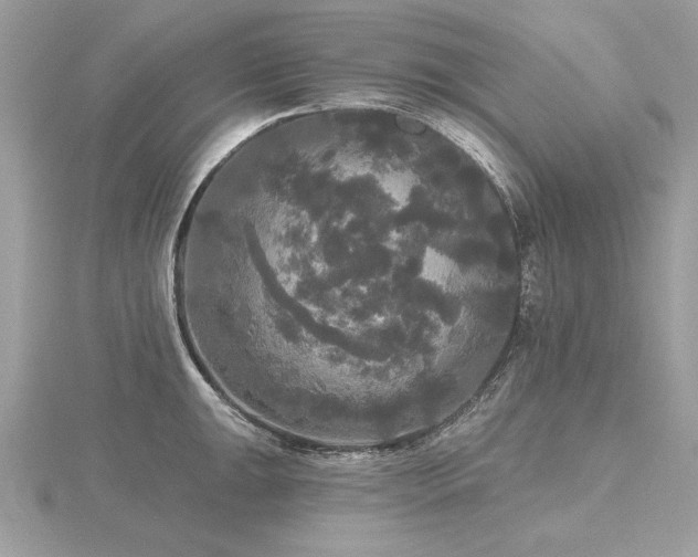 X0000116571047200912101506