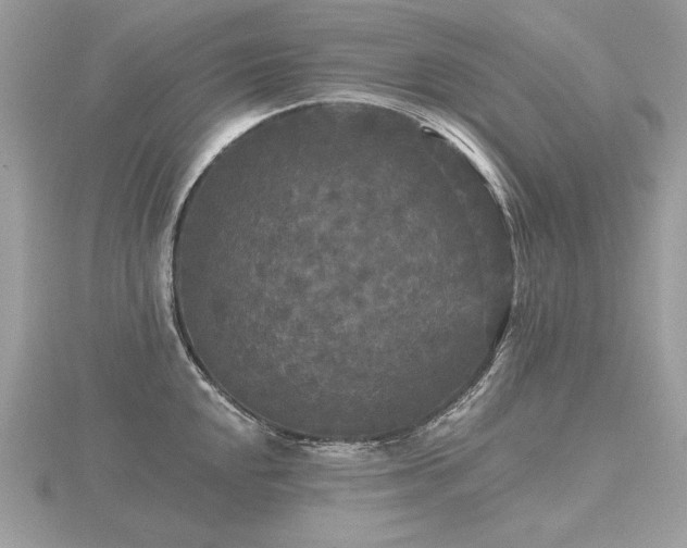 X0000116571048200912101506