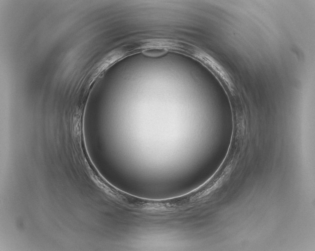 X0000116571049200912101506