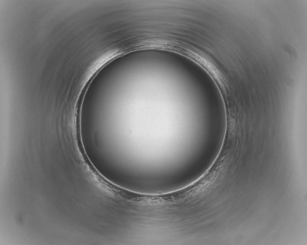 X0000116571050200912101506