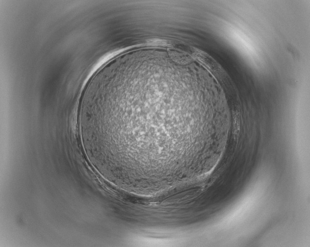 X0000116571052200912101506