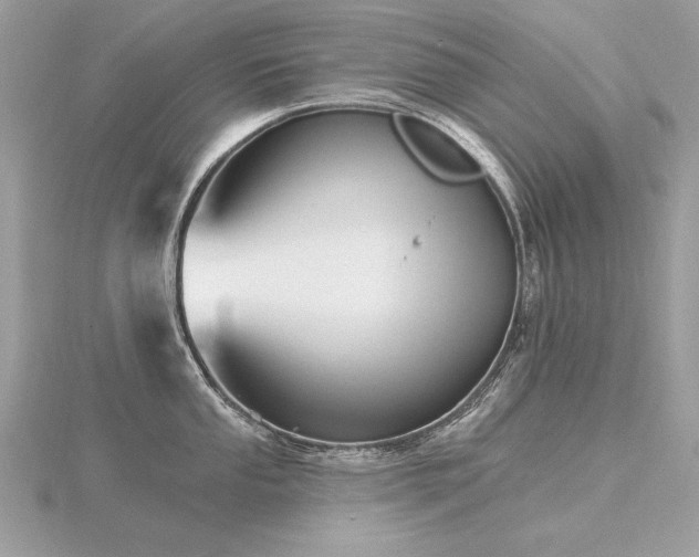 X0000116571053200912101506