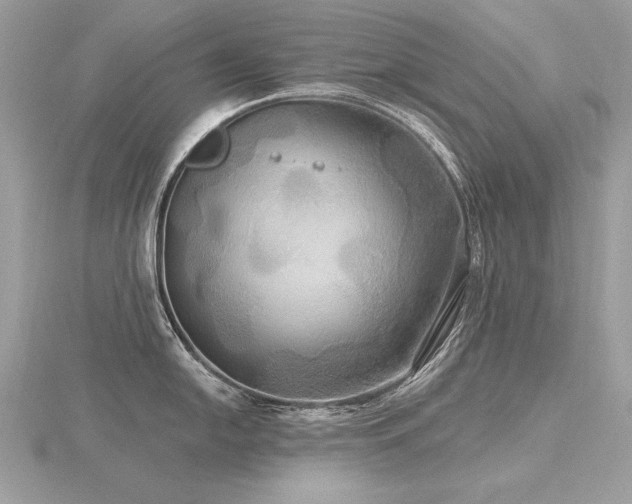 X0000116571054200912101506