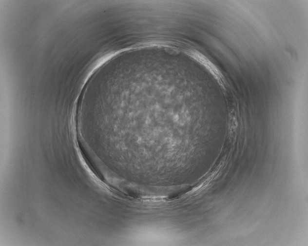 X0000116571055200912101506