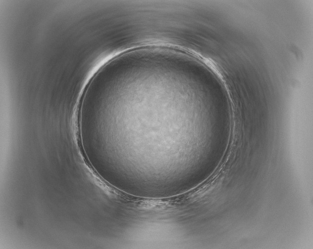 X0000116571056200912101506