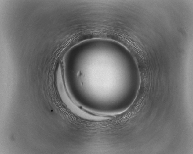 X0000116571057200912101506