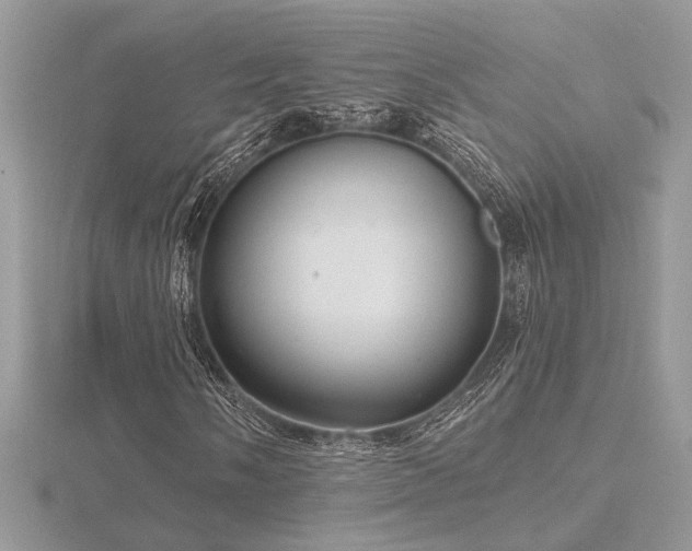 X0000116571058200912101506