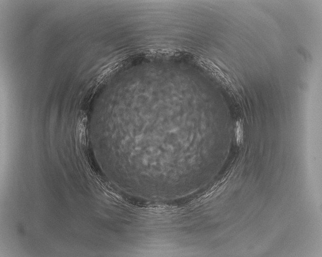 X0000116571059200912101506