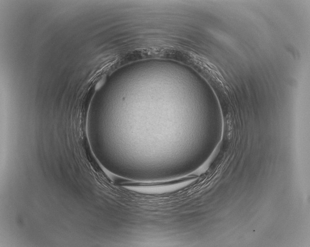 X0000116571060200912101506