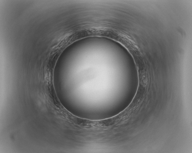 X0000116571061200912101506