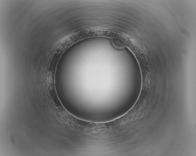 X0000116571062200912101506