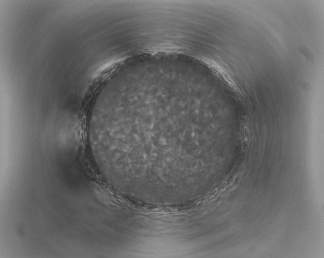 X0000116571063200912101506