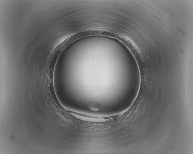 X0000116571064200912101506