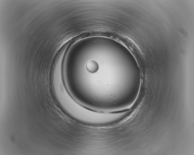 X0000116571065200912101506