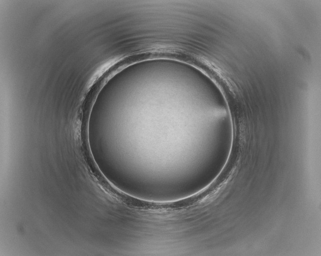 X0000116571066200912101506