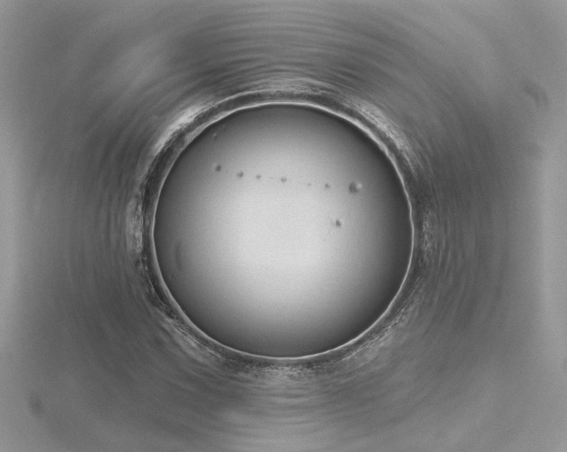 X0000116571067200912101506