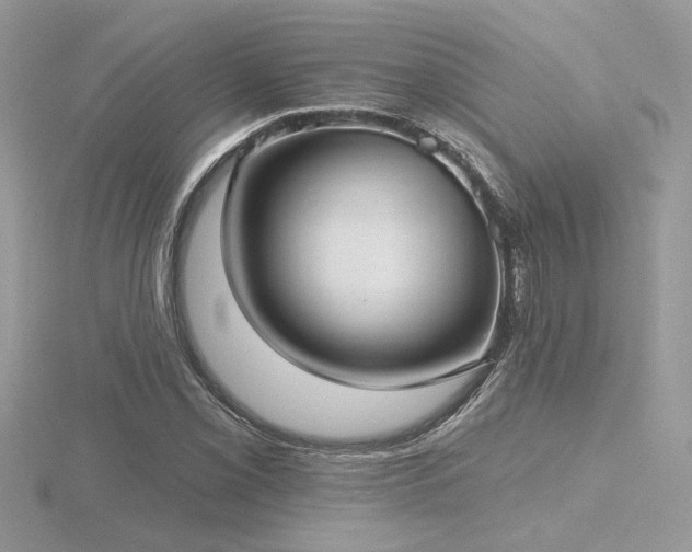 X0000116571069200912101506