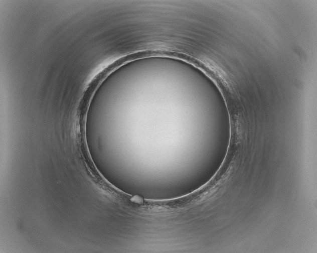 X0000116571070200912101506