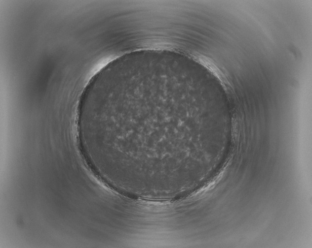 X0000116571071200912101505