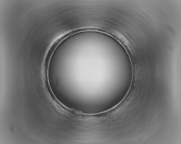 X0000116571072200912101505