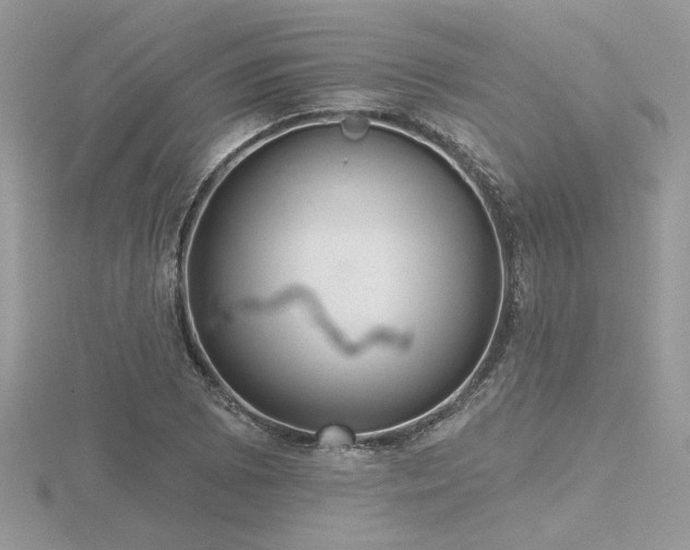 X0000116571073200912101505