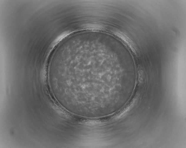 X0000116571074200912101505