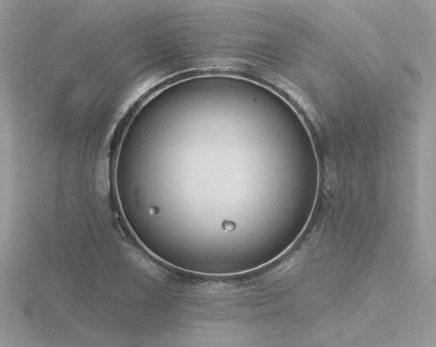 X0000116571075200912101505