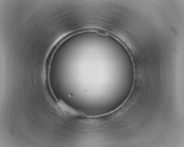 X0000116571076200912101505