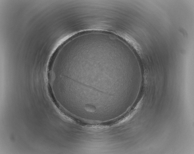 X0000116571077200912101505