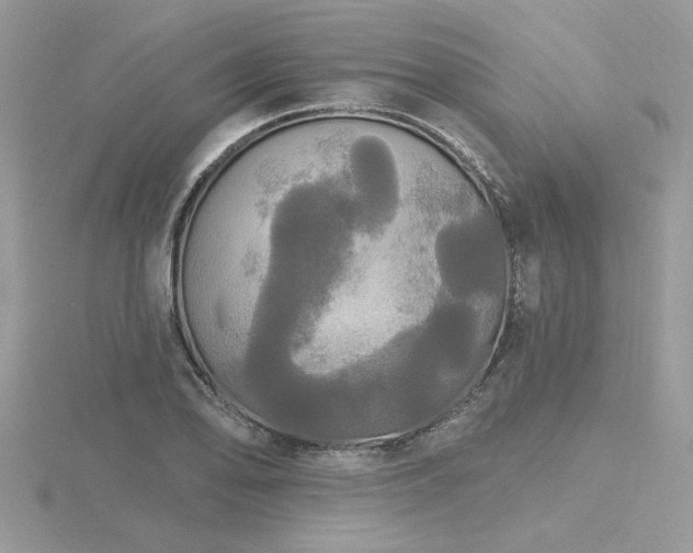 X0000116571078200912101505