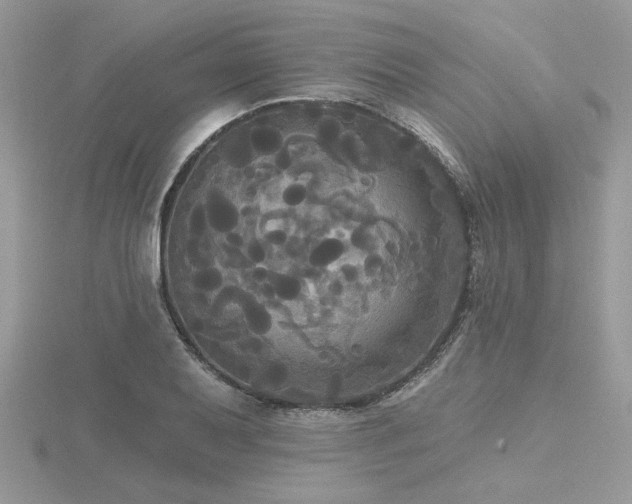 X0000116571079200912101505