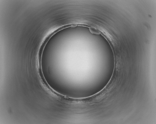 X0000116571080200912101505