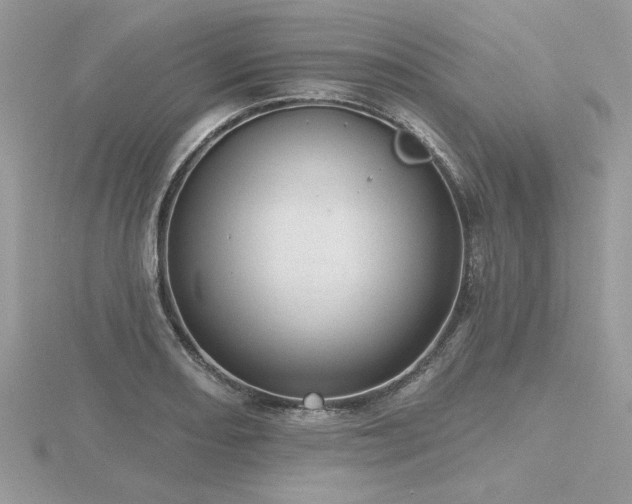 X0000116571082200912101505