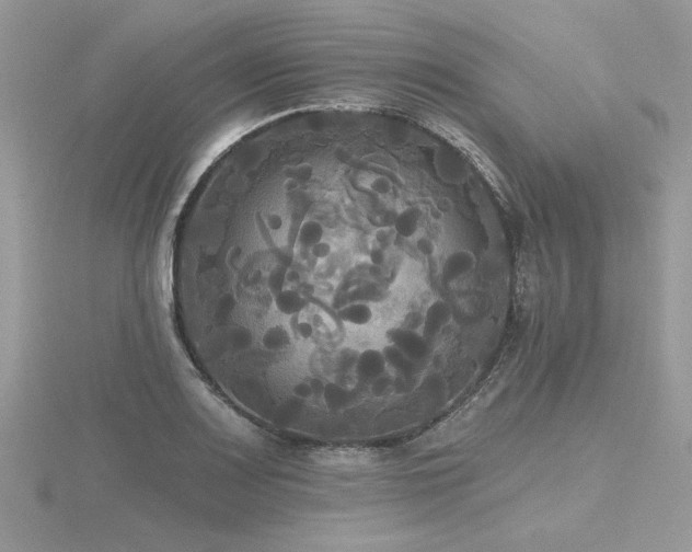 X0000116571083200912101505