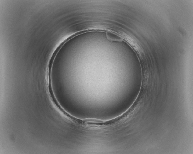 X0000116571084200912101505