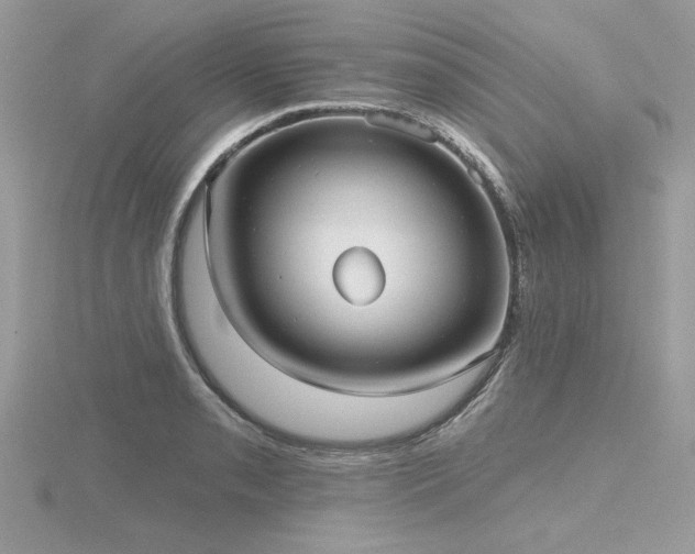 X0000116571085200912101505