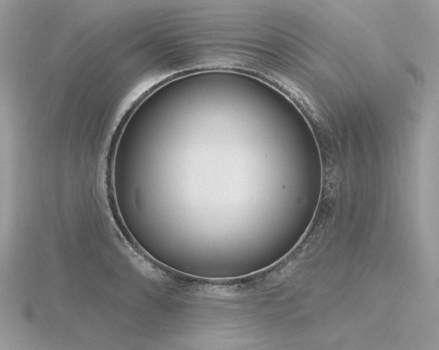 X0000116571086200912101505