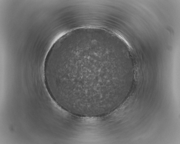 X0000116571087200912101505