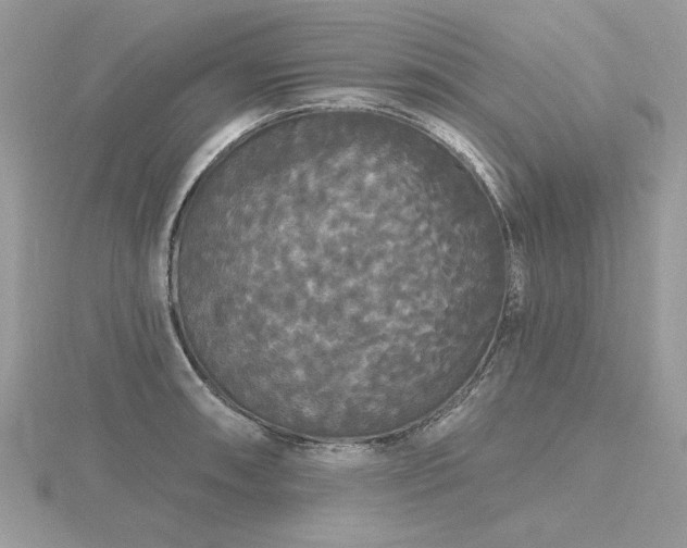 X0000116571090200912101505