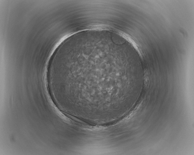 X0000116571091200912101505